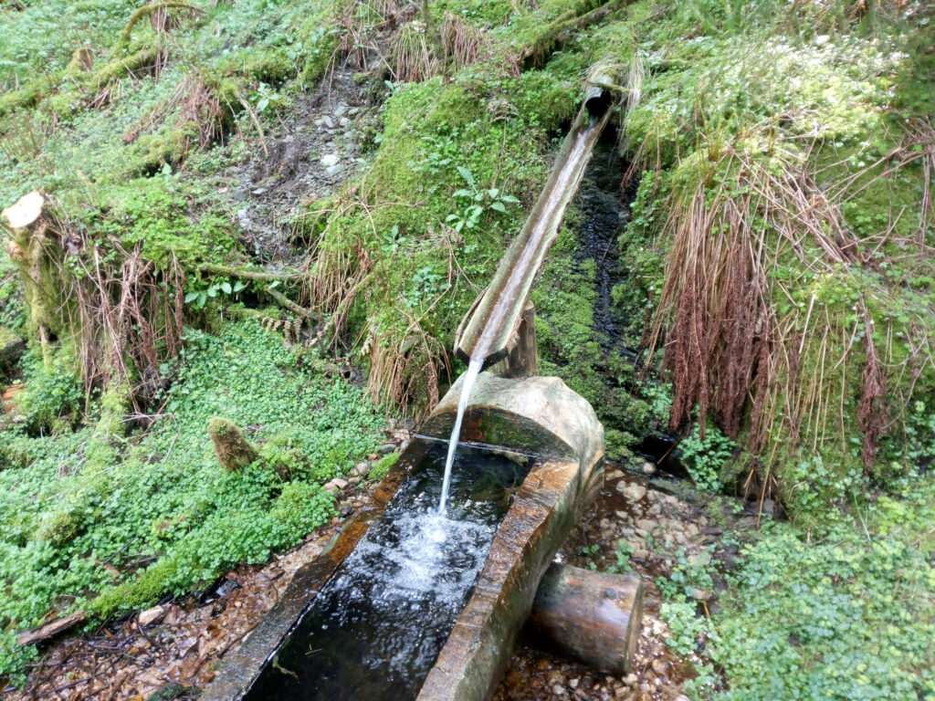 Shinrin-Yoku - Quelle der Helsmecke in der Nähe von Lennestadt-Bilstein