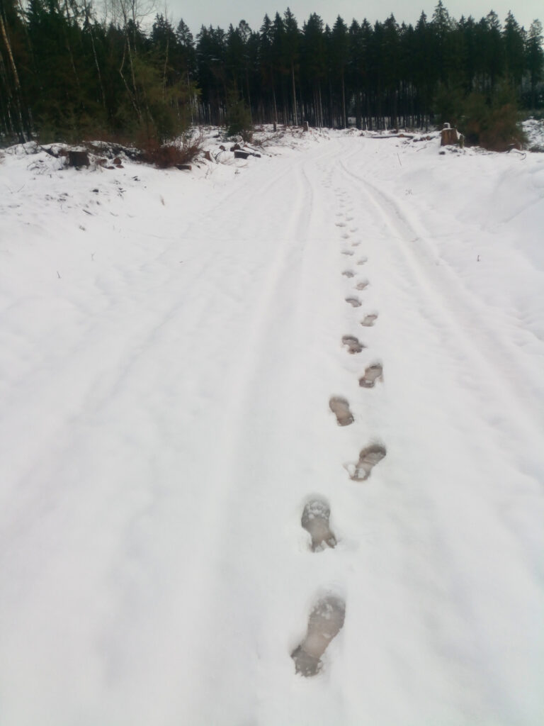 Einzelne Fußspuren im Schnee