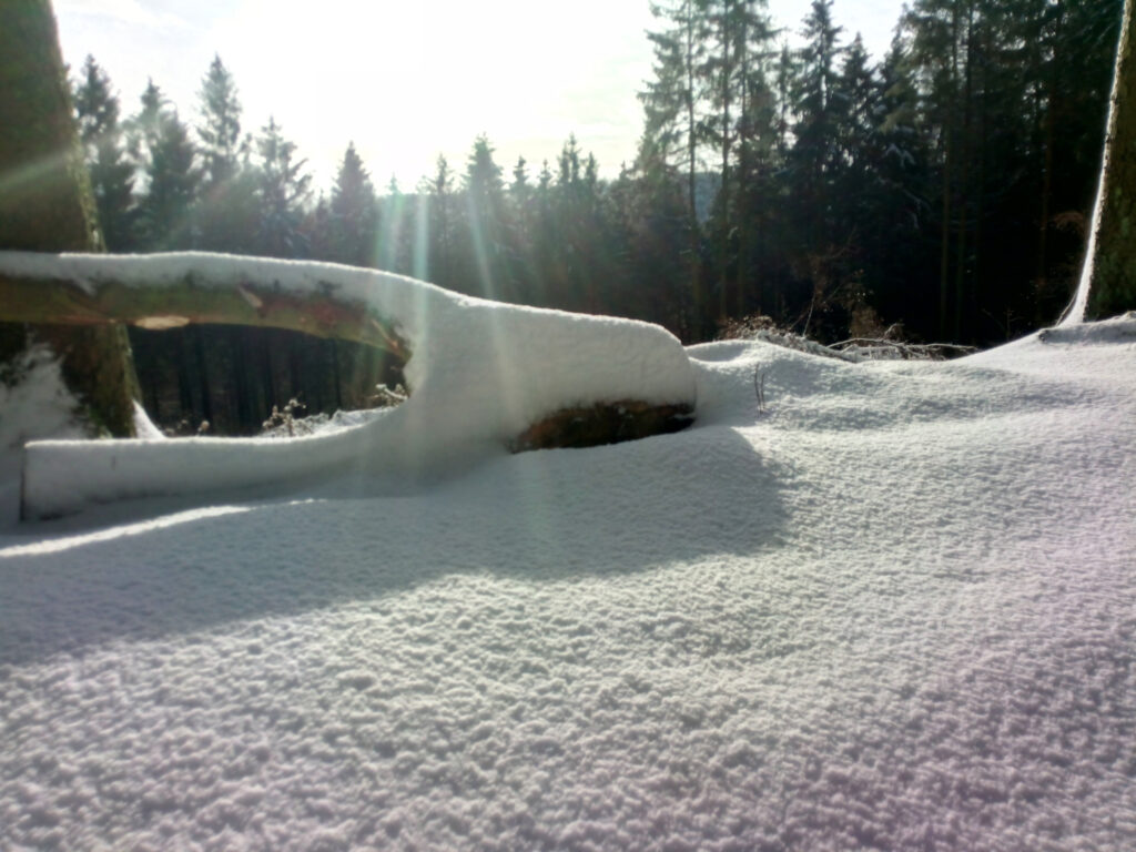 schneebedeckter Weg und Blick in die Wintersonne