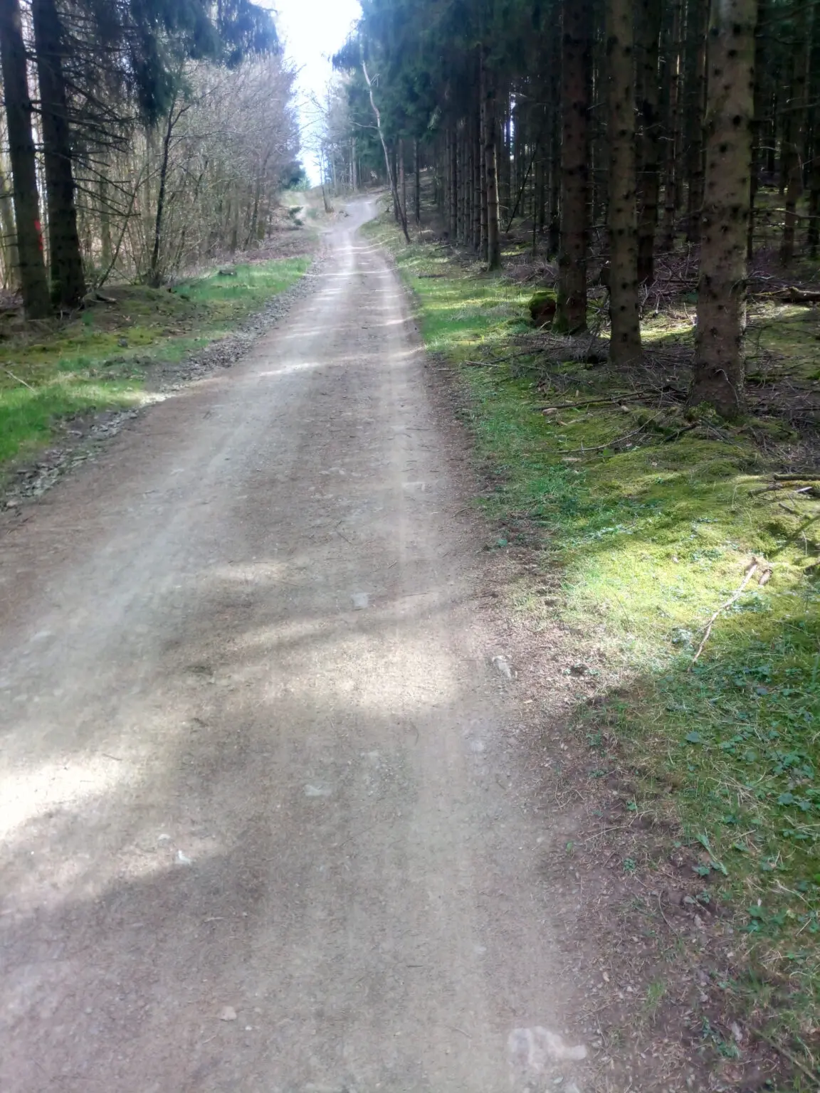 Uni siegen single