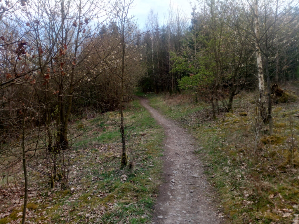 Trail auf dem X5 zwischen Dreis-Tiefenbach und Siegen