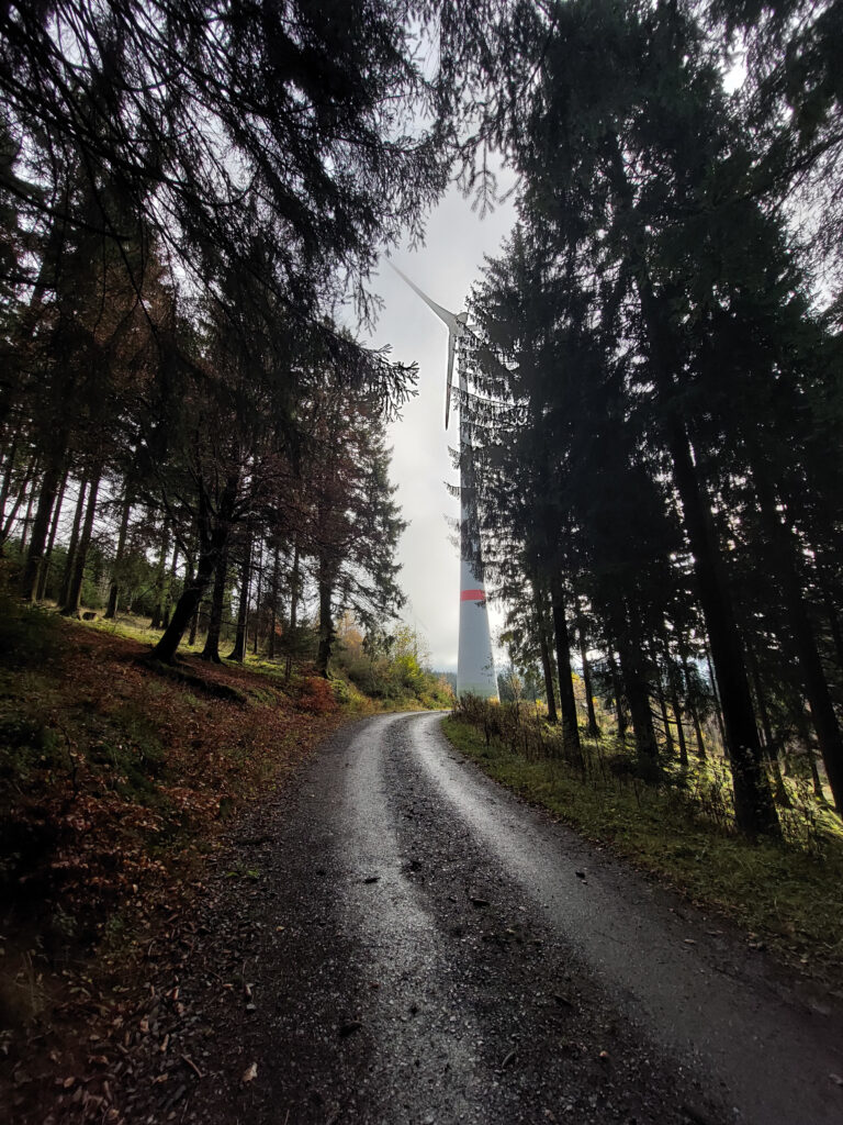 Bild vom Windwanderweg Hilchenbach im November
