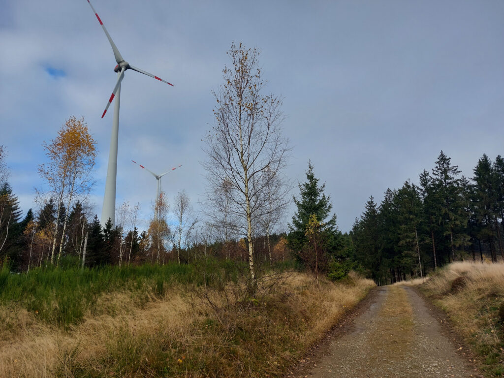 Bild vom Windwanderweg Hilchenbach im November