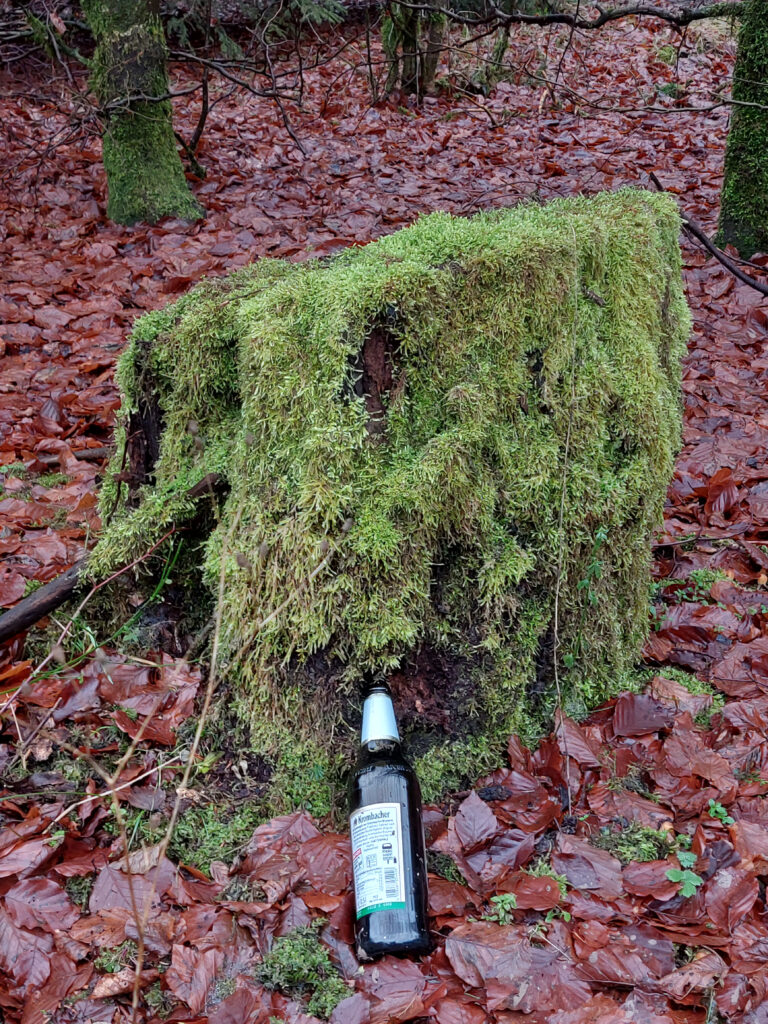 Krombacher-Pils-Flasche vor einem Baumstumpf. Ein Baumpils.