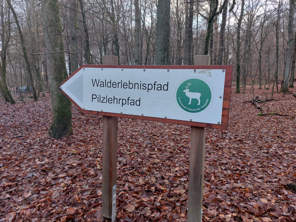 Richtungsschild zum Walderlebnispfad und Pilzlehrpfad im Erlebniswald