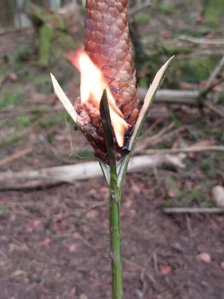 Fackel brennt mit wenig Harz