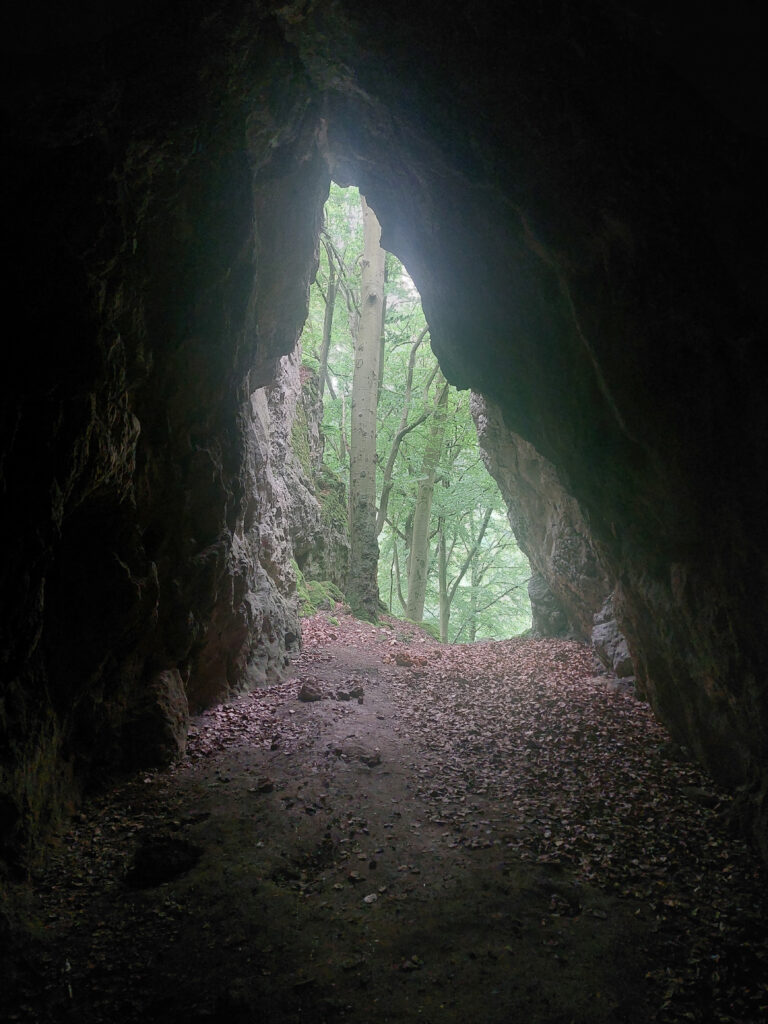Blick aus einer Höhle nach draußen. Helligkeitsunterschiede sind bei der Tarnung auch zu beachten.