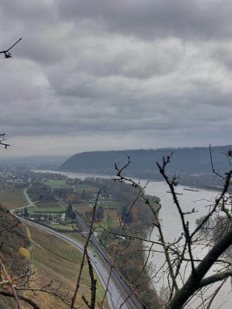 Blick von Burgruine Hammerstein auf den Rhein
