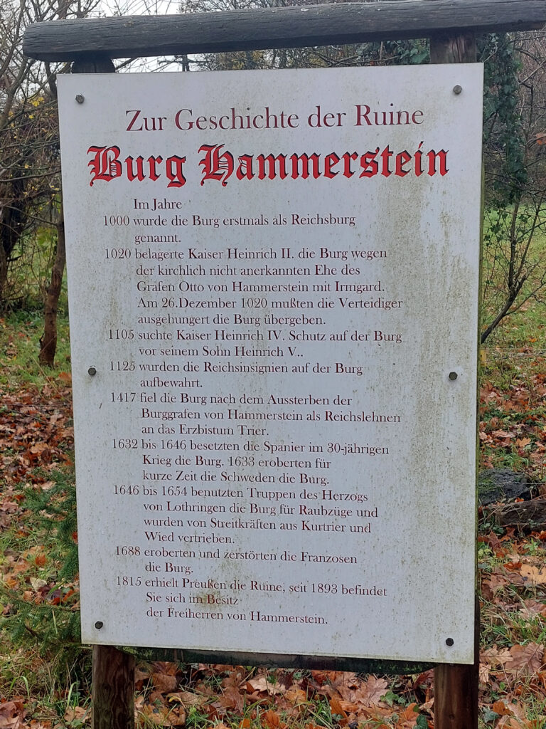Infotafel zur Burgruine Hammerstein