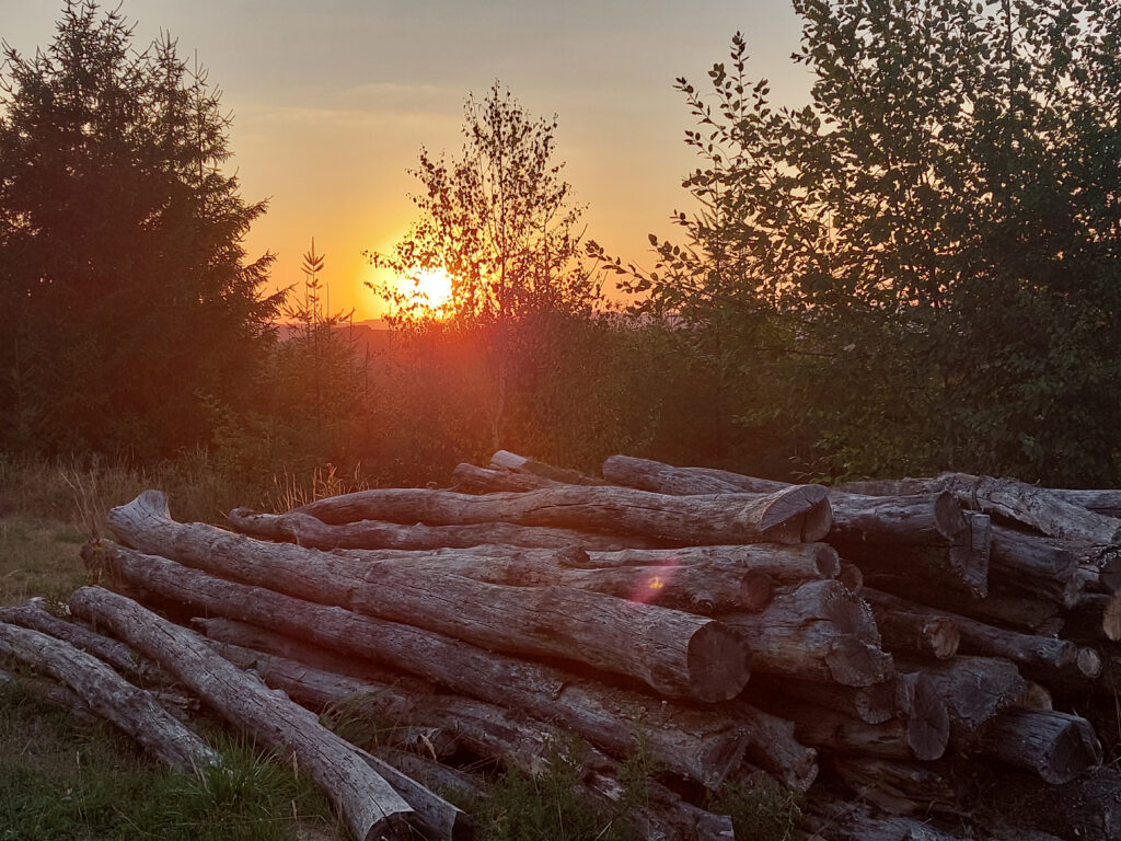 Holzpolter bei Sonnenuntergang. Auf einem Holzpolter solltest Du aus Sicherheitsgründen nicht klettern oder sitzen.