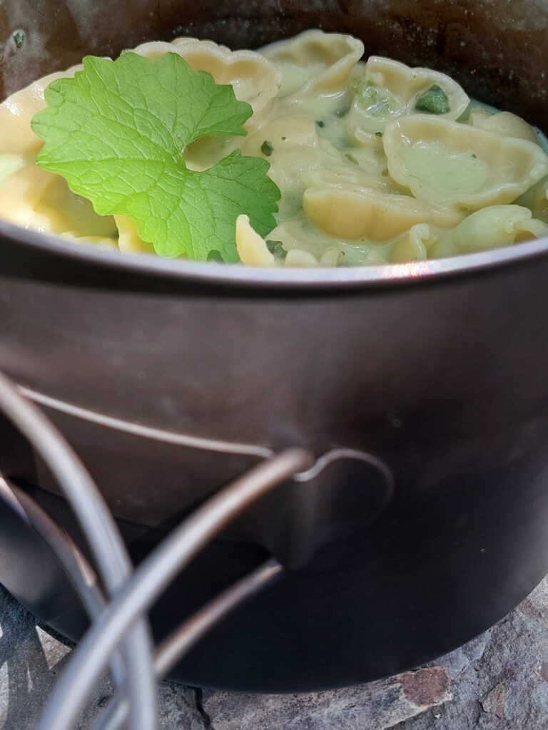 Nudeln in Spinat-Sahnesoße outdoor gekocht