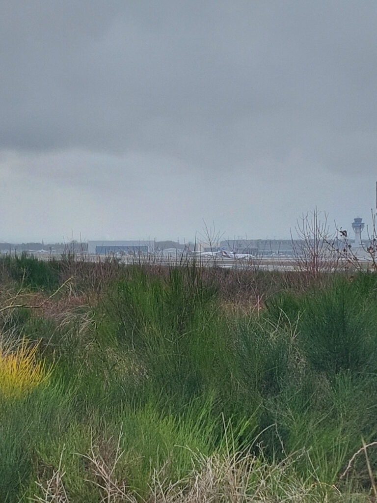 Blick aus der Wahner Heide auf die Ostseite des Kölner Flughafens
