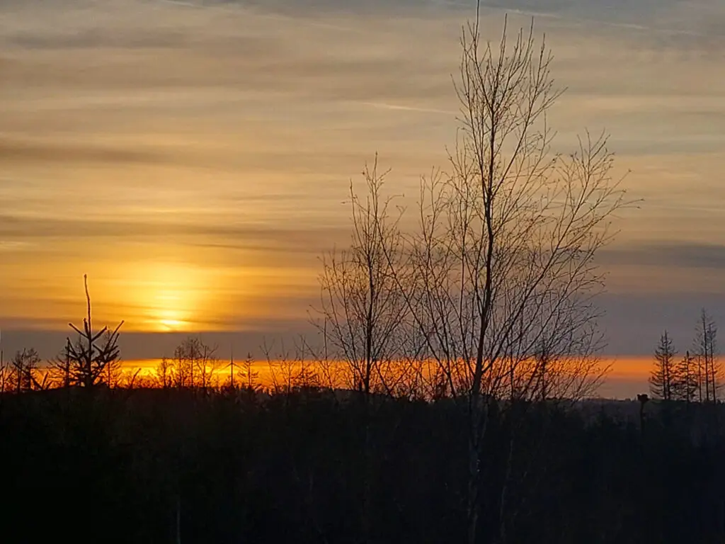 Einen schönen Sonnenuntergang genießen und schlafen im Wald