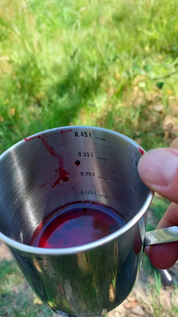 Brombeersaft mit ein wenig Wasser verlängert im Edeltstahlbecher