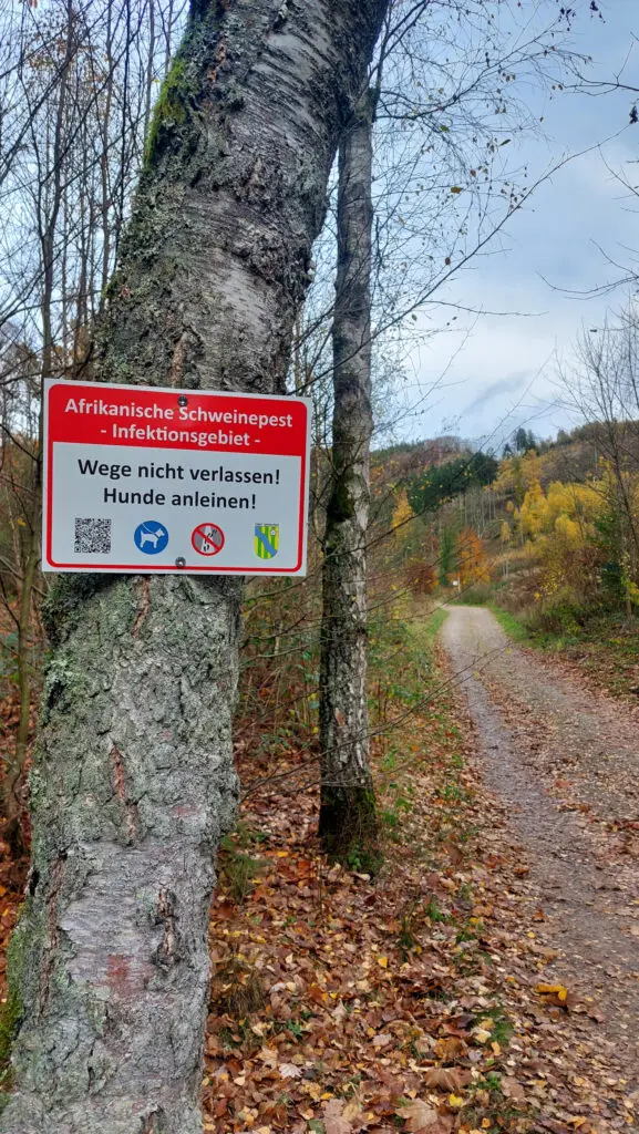 Wanderweg in der Nähe der SGV-Hütte in Lennestadt-Meggen mit Hinweis-Schild zur Afrikanischen Schweinepest