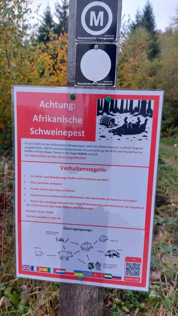 Hinweisschild zur Afrikanischen Schweinepest mit Verhaltensregeln für Waldbesucher