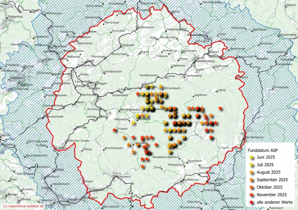 Eigene Karten-Darstellung (QGIS) der Fundorte der an Afrikanischer Schweinepest (ASP) verendeten Tiere im Kreis Olpe, Hochsauerlandkreis und dem Kreis Siegen-Wittgenstein mit dem WAHIS-Datenstand vom 24.11.2025