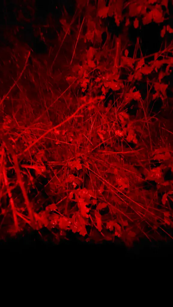 Lichtkegel der NU27 mit Rotlicht