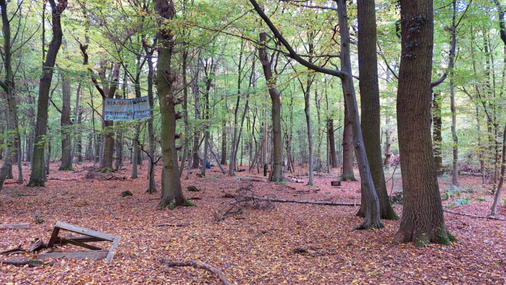 Hambacher Forst