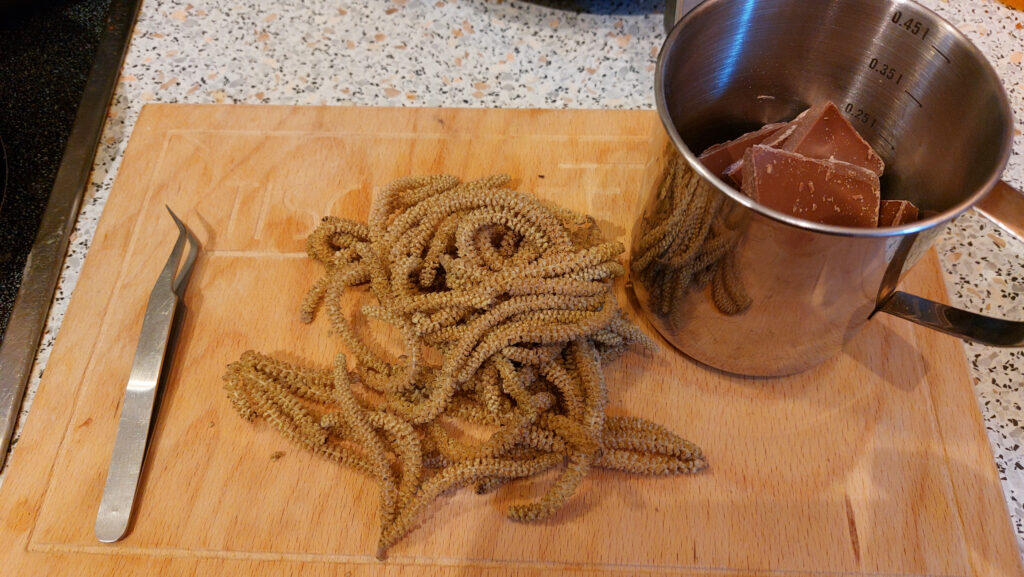 gesammelte Haselkätzchen auf einem Holzschneidebrettchen. Eine Pinzette und ein mit Schokoladenstückchen gefüllter Edelstahlbecher.