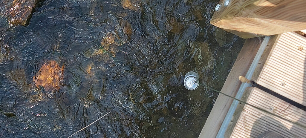 Getränkedose zum Kühlen ins Wasser gehängt. Ansicht von oben auf das gekühlte Getränk.