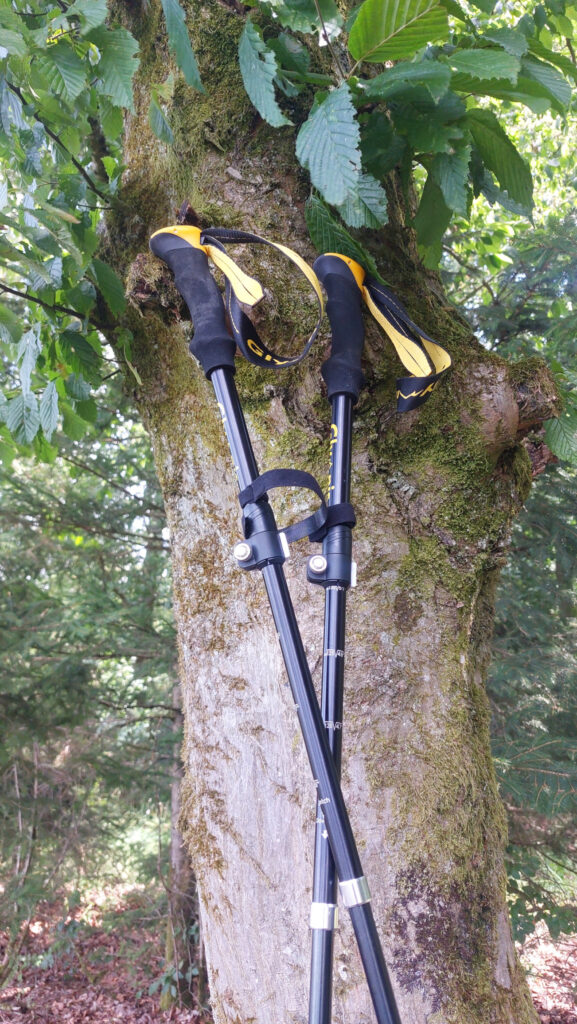 Trekkingstöcke lehnen an einem Baum
